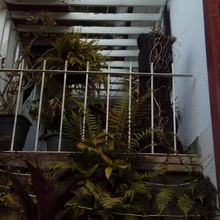 Hostel Mdemarilia Nova Friburgo Exteriér fotografie